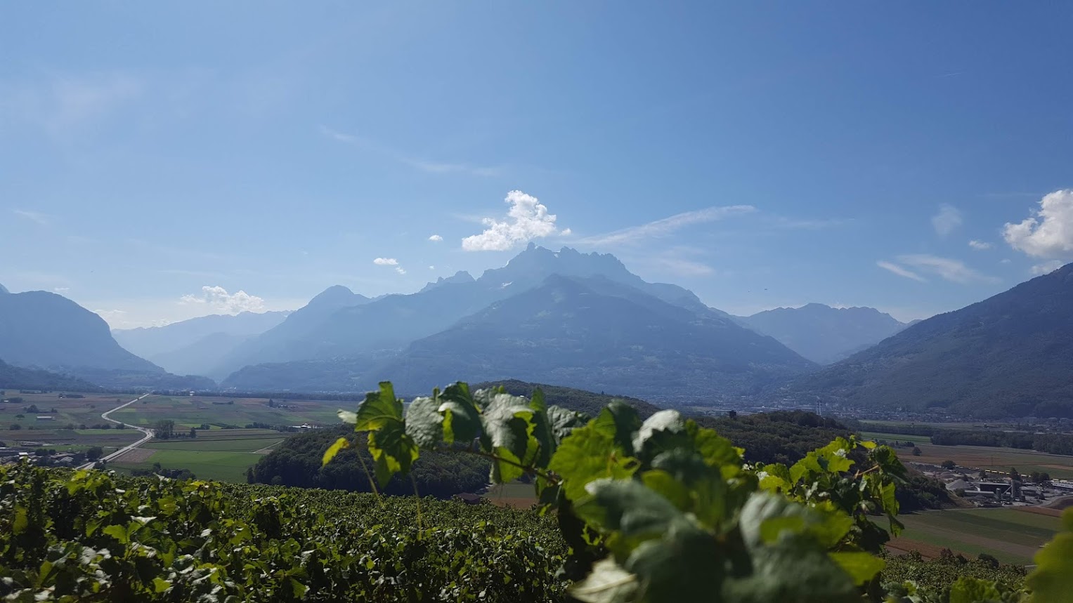Les Dents du Midi aus der Sicht von Verschiez Les Dents du Midi aus der Sicht von Verschiez