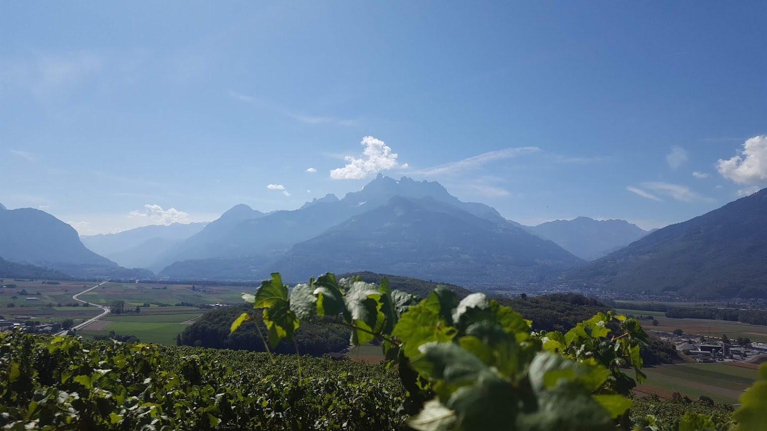 Les Dents du Midi aus der Sicht von Verschiez